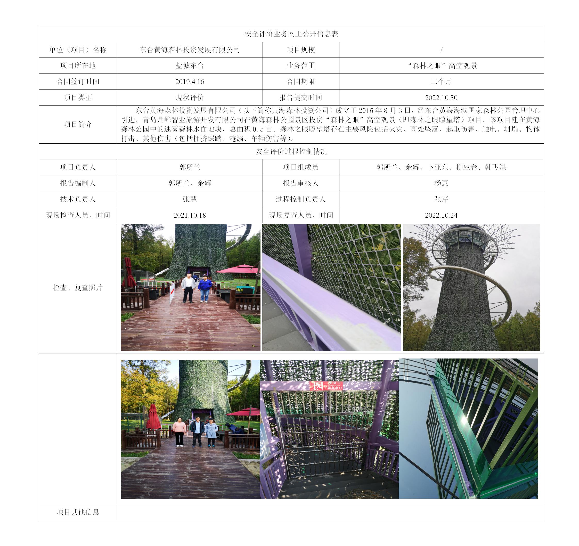 东台黄海森林投资发展有限公司黄海森林公园森林之眼瞭望塔安全评价报告